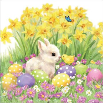 O-Serv. 33/33 Amb. Hase+Küken