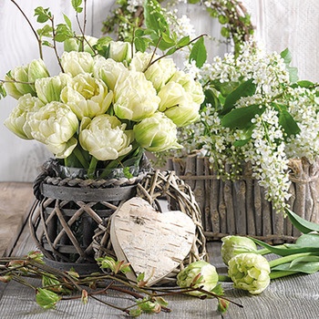 Servietten 25/25 Tulpen weiß