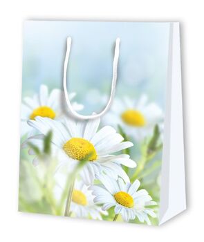 GT Extra Margeriten  L