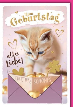 Bill. Geburtstag Geld Katze