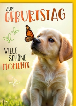 Bill. Geburtstag Hund Bill. Geburtstag Hund