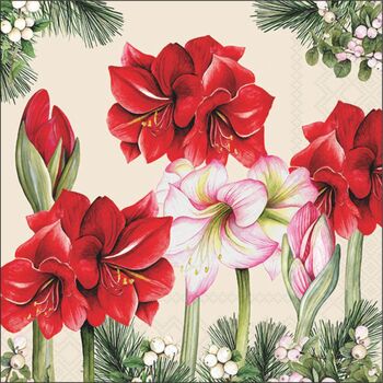 W-Serv. 33/33 Amb. Amaryllis