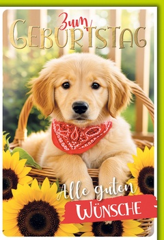 Bill. Geburtstag Hund