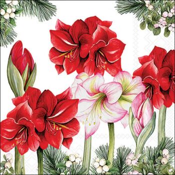 W-Serv. 33/33 Amaryllis