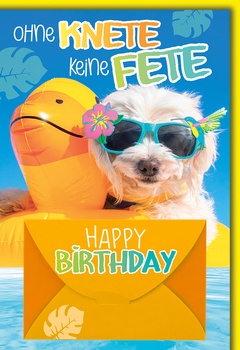 Bill. Geburtstag Geld Hund