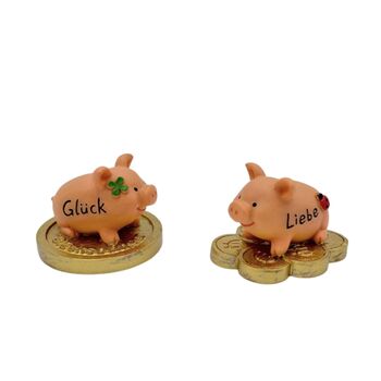 Schweinchen auf Münze, 6 cm