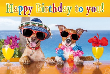 Bill. Geburtstag  Hunde