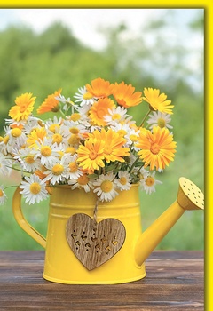 Bill. Blanco Blumen