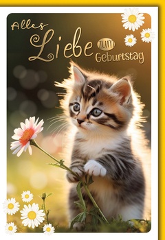 Bill. Geburtstag Katze Bill. Geburtstag Katze