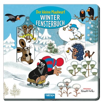 Winter-Fensterbuch