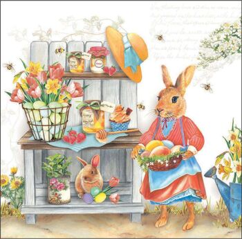 O-Serv. 33/33 Amb. O.Hasenfrau