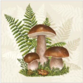 Servietten 33/33 Pilze
