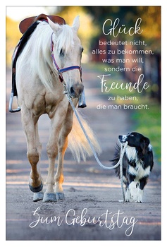 Bill. Geburtstag Pferd/Hund