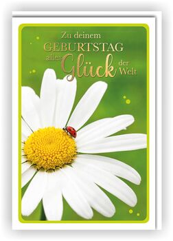 Bill. Geburtstag Margeriten