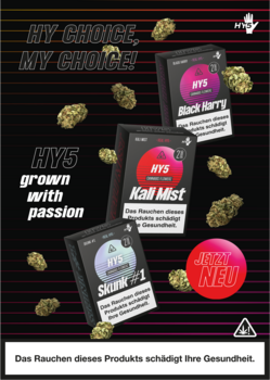 HY5 Poster A3 HY5 Poster A3