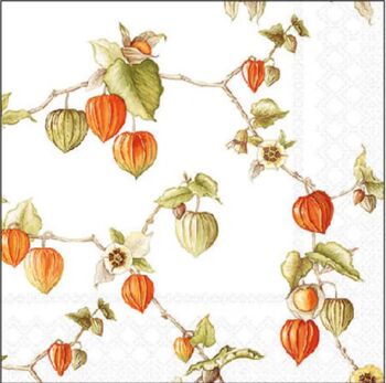 Servietten 25/25 Lampionblumen