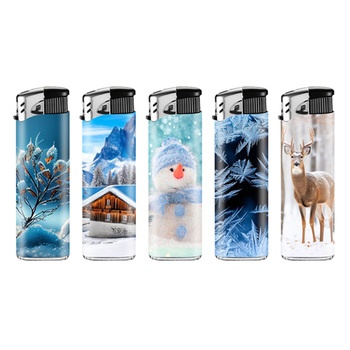 Whn. Fzg. el. Winterlandschaft