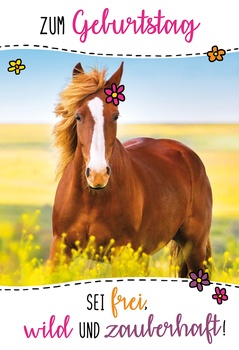 Bill. Geburtstag Pferd
