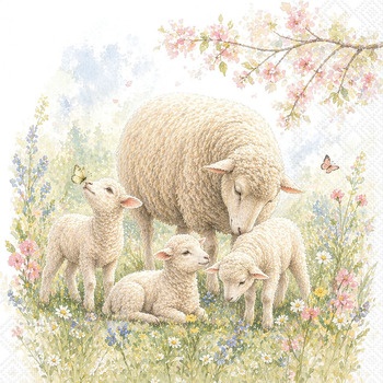 O-Serv. 33/33 Schaf-Familie
