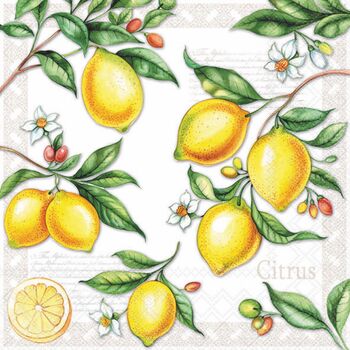 Servietten 33/33 Amb. Citrus