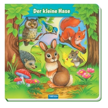 Fensterbuch d.kl. Hase 12 s.
