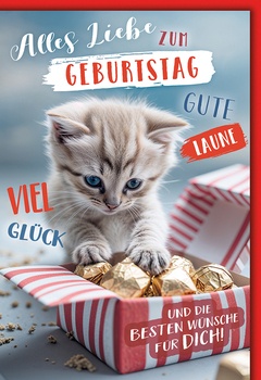 Bill. Geburtstag Katze