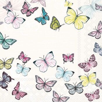 Serv. 33/33 Amb. Schmetterling