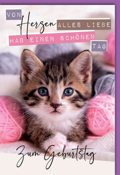 Bill. Geburtstag Katze