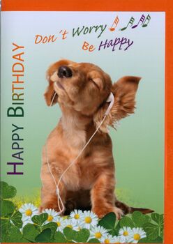 Bill. Geburtstag Hund