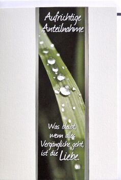 Bill. Trauer Tropfen