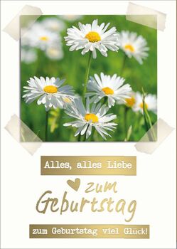 Bill. Geb. Gänseblümchen