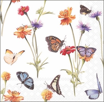 Serv.25/25 Amb. Schmetterling