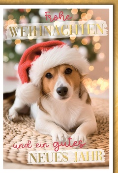 Whn. Bill. Hund