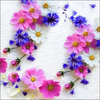 Serv. 33/33 P&D Blumen