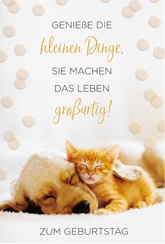 Bill. Geburtstag   Hund/Katze