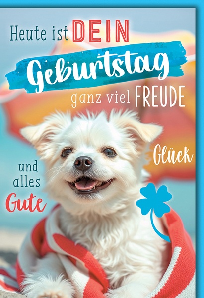 Bill. Geburtstag Hund