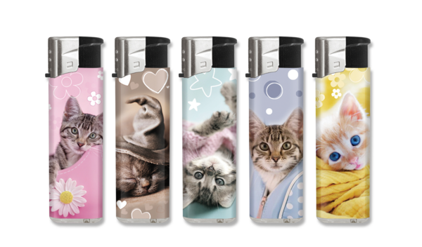 Biflame Fzg. el. lovely Cats