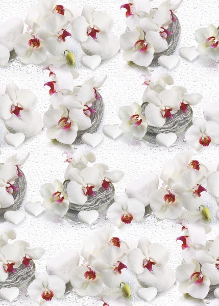 Offset 70/100 Pol M. Orchidee