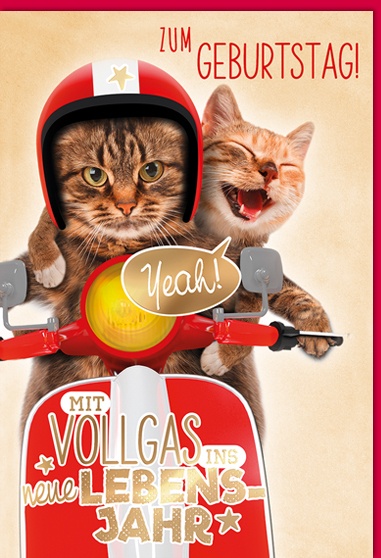 Bill. Geburtstag Mofa/Katzen