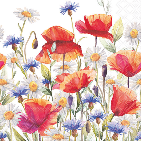 Serv. 33/33 Korn-u. Mohnblumen Serv. 33/33 Korn-u. Mohnblumen