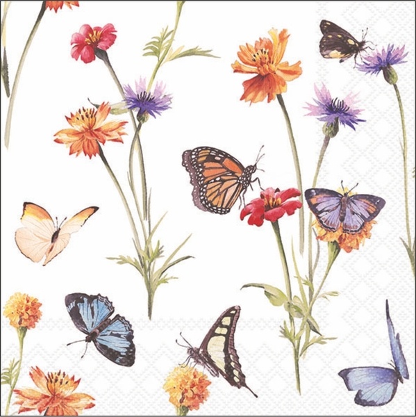 Serv.33/33 Amb. Schmetterling Serv.33/33 Amb. Schmetterling