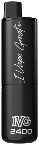 IVG 2400 Gerät Grey