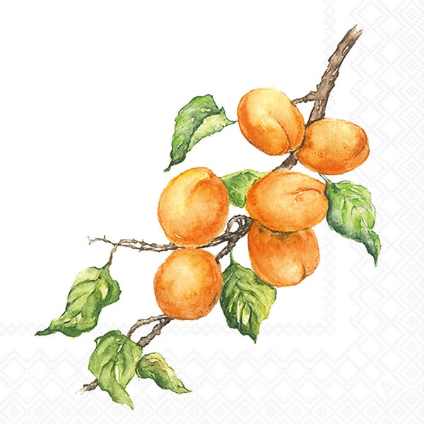 Servietten 33/33 Marillen