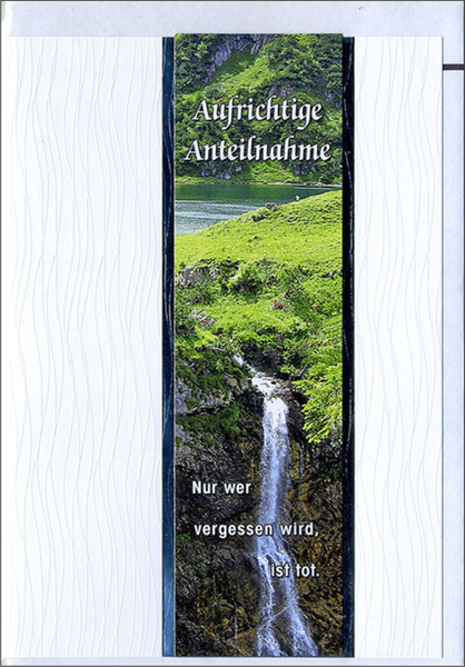 Bill. Trauer See/Quelle