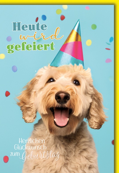 Bill. Geburtstag Hund Bill. Geburtstag Hund