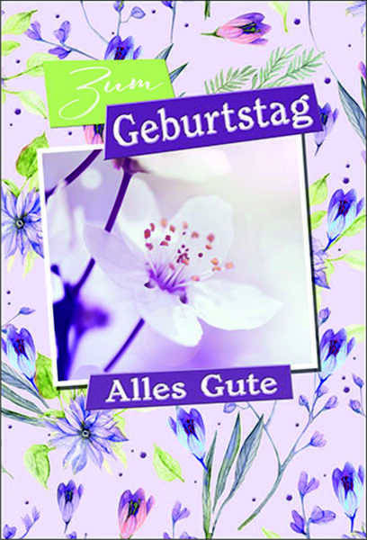 Bill. Geburtstag Blumen lila