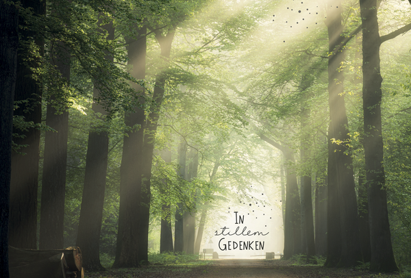 Bill. Trauer quer Wald