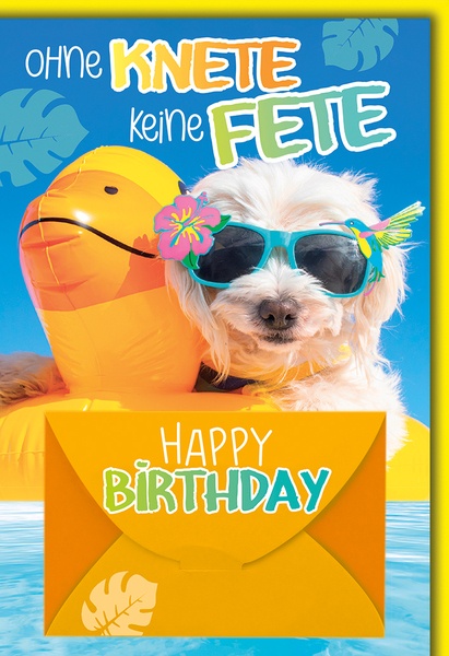 Bill. Geburtstag Geld Hund Bill. Geburtstag Geld Hund