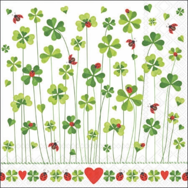 NJ-Serv. 33/33 Ambiente