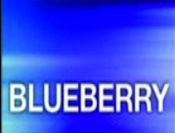 Liquid Blueberry 3 mg.